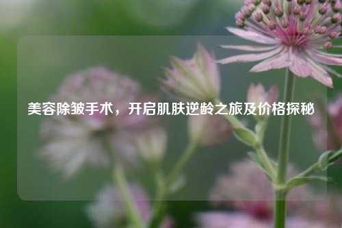 美容除皱手术，开启肌肤逆龄之旅及价格探秘