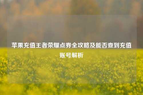 苹果充值王者荣耀点券全攻略及能否查到充值账号解析