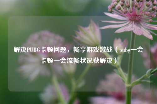 解决PUBG卡顿问题，畅享游戏激战（pubg一会卡顿一会流畅状况获解决）