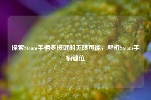 探索Steam手柄多按键的无限可能,解析Steam手柄键位