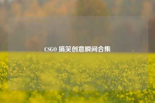 CSGO 搞笑创意瞬间合集