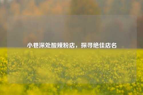 小巷深处酸辣粉店,探寻绝佳店名