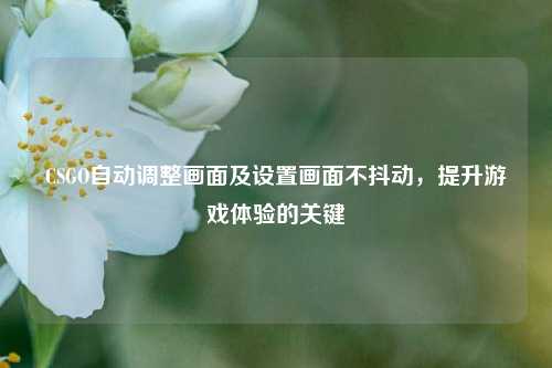 CSGO自动调整画面及设置画面不抖动，提升游戏体验的关键
