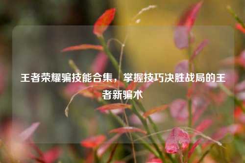 王者荣耀骗技能合集，掌握技巧决胜战局的王者新骗术