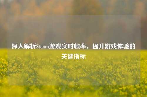 深入解析Steam游戏实时帧率,提升游戏体验的关键指标
