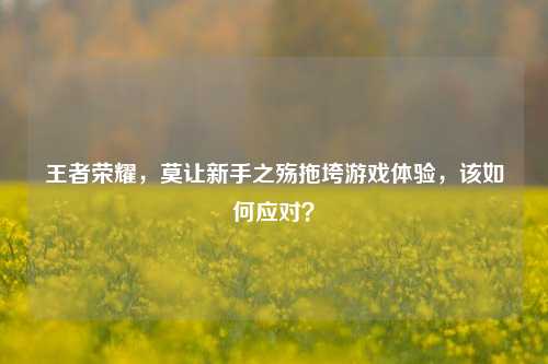 王者荣耀,莫让新手之殇拖垮游戏体验,该如何应对?