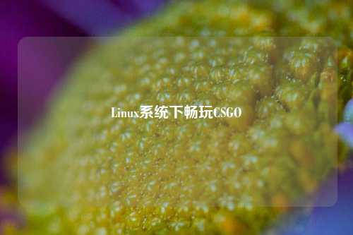 Linux系统下畅玩CSGO