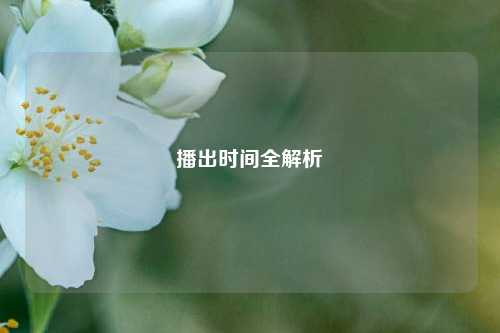 播出时间全解析