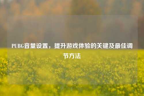 PUBG音量设置，提升游戏体验的关键及最佳调节方法