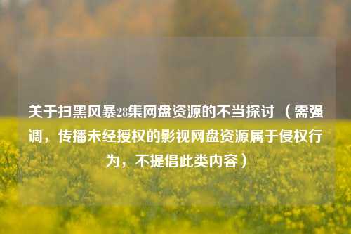 关于扫黑风暴28集网盘资源的不当探讨 (需强调,传播未经授权的影视网盘资源属于侵权行为,不提倡此类内容)
