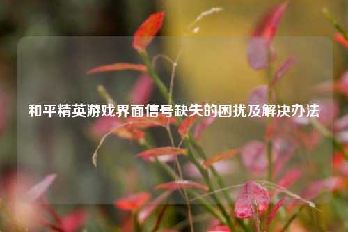 和平精英游戏界面信号缺失的困扰及解决办法