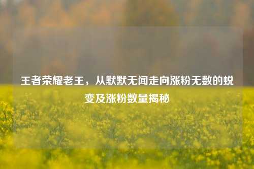 王者荣耀老王,从默默无闻走向涨粉无数的蜕变及涨粉数量揭秘