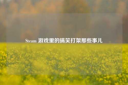 Steam 游戏里的搞笑打架那些事儿
