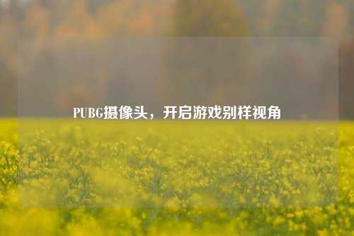 PUBG摄像头,开启游戏别样视角
