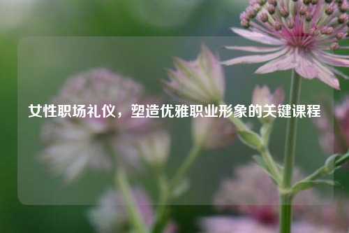 女性职场礼仪,塑造优雅职业形象的关键课程