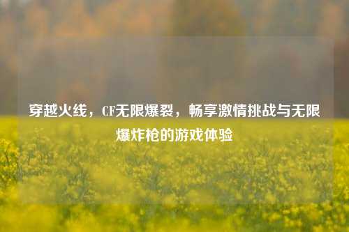 穿越火线,CF无限爆裂,畅享激情挑战与无限爆炸枪的游戏体验