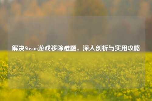 解决Steam游戏移除难题,深入剖析与实用攻略