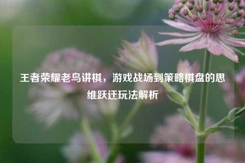 王者荣耀老鸟讲棋,游戏战场到策略棋盘的思维跃迁玩法解析