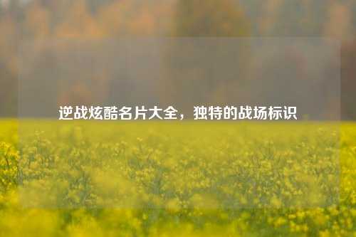 逆战炫酷名片大全,独特的战场标识