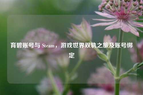 育碧账号与 Steam，游戏世界双轨之旅及账号绑定