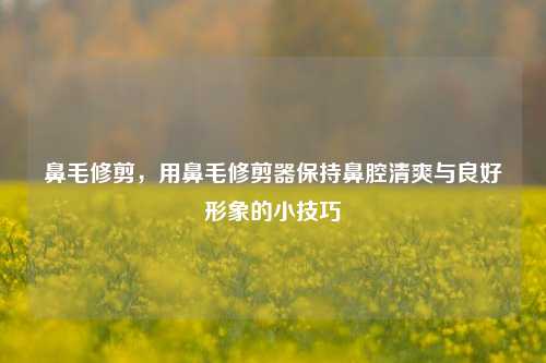 鼻毛修剪,用鼻毛修剪器保持鼻腔清爽与良好形象的小技巧