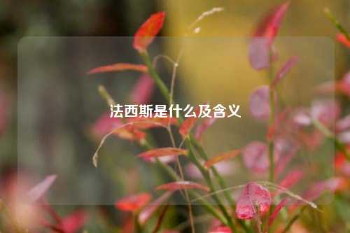 法西斯是什么及含义