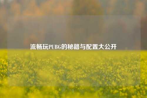 流畅玩PUBG的秘籍与配置大公开