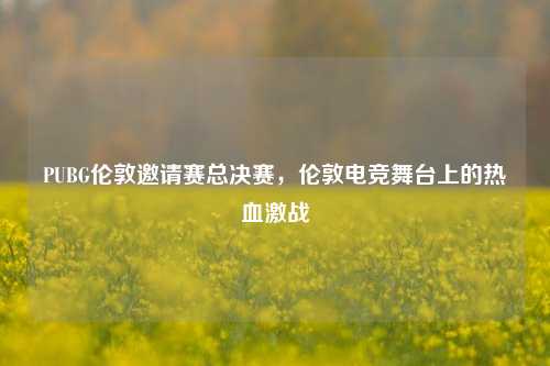 PUBG伦敦邀请赛总决赛,伦敦电竞舞台上的热血激战