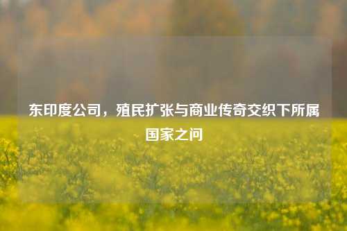 东印度公司,殖民扩张与商业传奇交织下所属国家之问