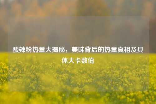 酸辣粉热量大揭秘,美味背后的热量真相及具体大卡数值