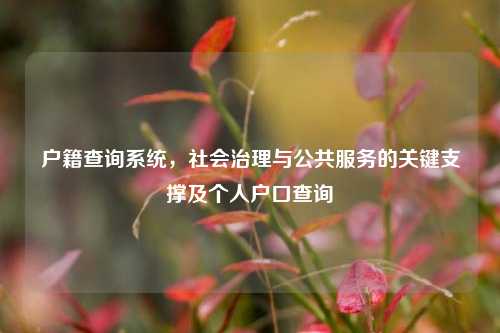 户籍查询系统,社会治理与公共服务的关键支撑及个人户口查询
