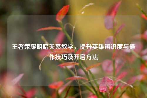 王者荣耀明暗关系教学,提升英雄辨识度与操作技巧及开启方法