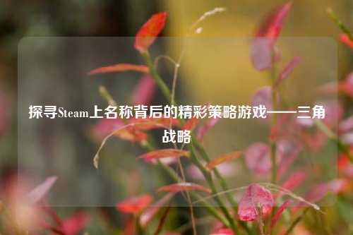 探寻Steam上名称背后的精彩策略游戏——三角战略