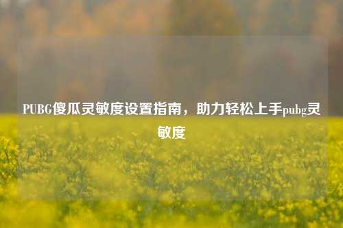PUBG傻瓜灵敏度设置指南，助力轻松上手pubg灵敏度
