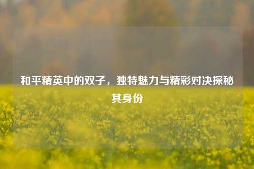 和平精英中的双子,独特魅力与精彩对决探秘其身份