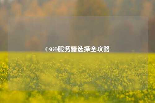 CSGO服务器选择全攻略