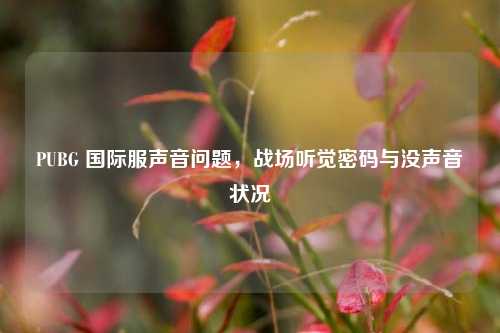 PUBG 国际服声音问题，战场听觉密码与没声音状况