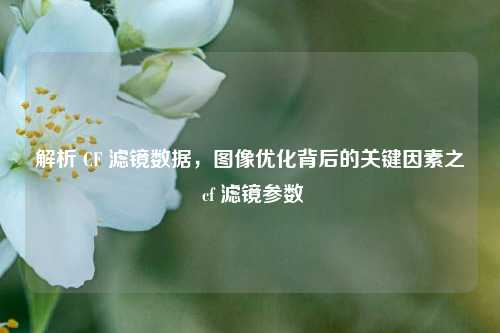 解析 CF 滤镜数据，图像优化背后的关键因素之 cf 滤镜参数