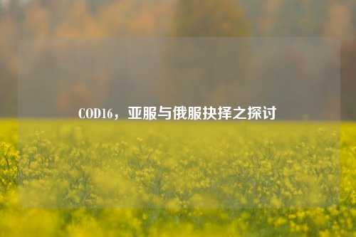 COD16，亚服与俄服抉择之探讨