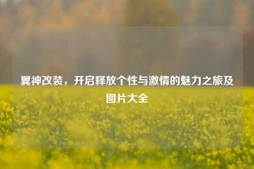 翼神改装,开启释放个性与激情的魅力之旅及图片大全