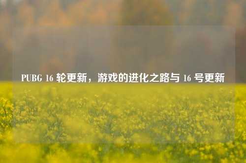 PUBG 16 轮更新,游戏的进化之路与 16 号更新