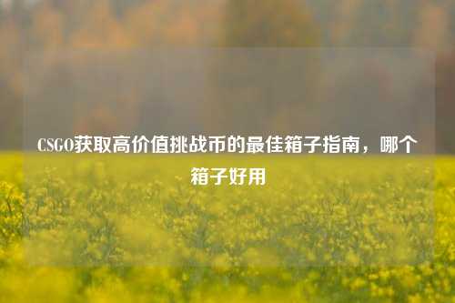CSGO获取高价值挑战币的最佳箱子指南,哪个箱子好用