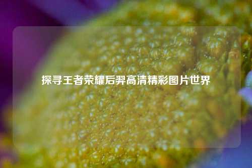 探寻王者荣耀后羿高清精彩图片世界