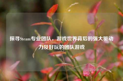 探寻Steam专业团队，游戏世界背后的强大驱动力及好玩的团队游戏