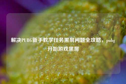 解决PUBG新手教学任务黑屏问题全攻略,pubg开始游戏黑屏