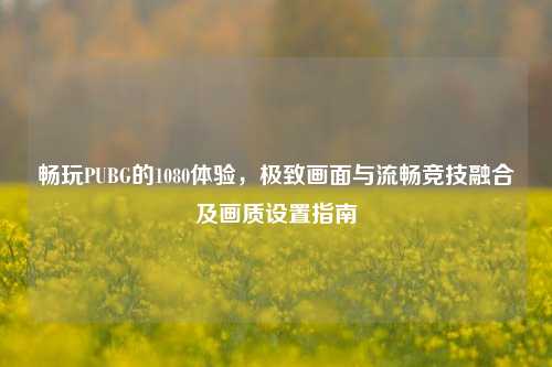 畅玩PUBG的1080体验,极致画面与流畅竞技融合及画质设置指南