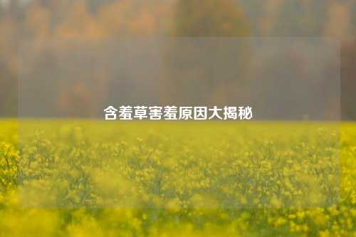 含羞草害羞原因大揭秘