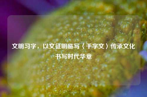 文明习字，以文征明临写〈千字文〉传承文化书写时代华章