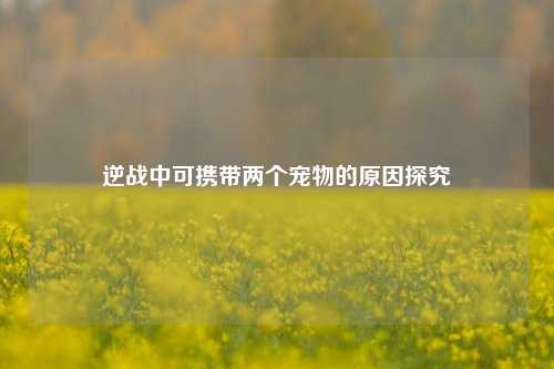 逆战中可携带两个宠物的原因探究