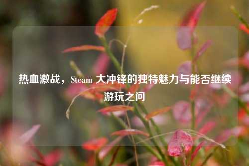热血激战,Steam 大冲锋的独特魅力与能否继续游玩之问